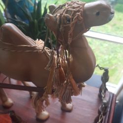 Unique 1900S Camel pulling cart"Dromedary" 
