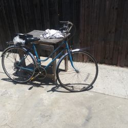 vintage schwinn