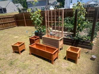 Cedar planter box set