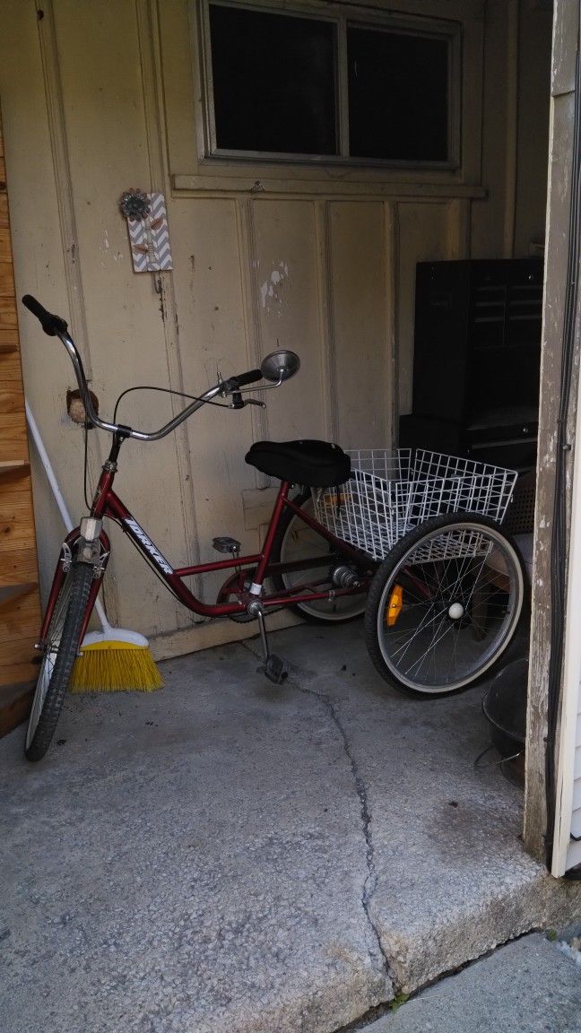 Three Wheeler 3 Speed 