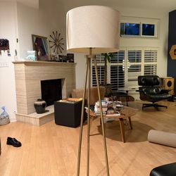 Contemporary Brass Tripod Floor Lamp For Sale
