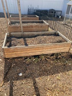Garden Boxes