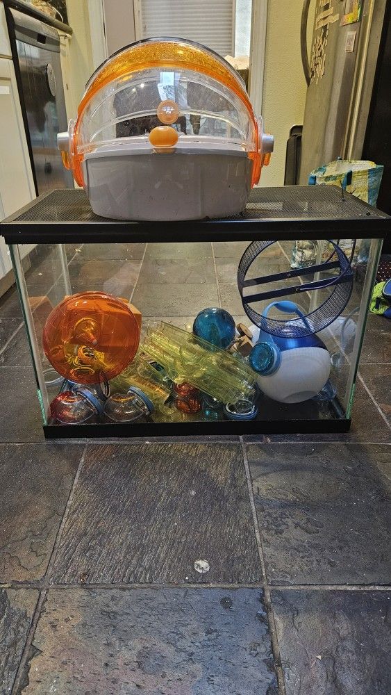 Fish Tank With Rodent Items