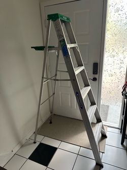 Werner 6FT and 4FT ladders