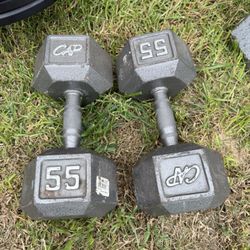 2-55 Lbs Dumbbell Weights 