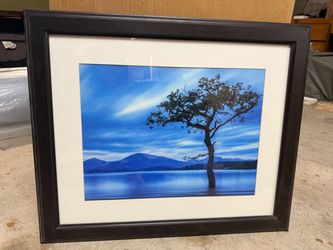 Framed Landscape Photo Print – Tree and Lake