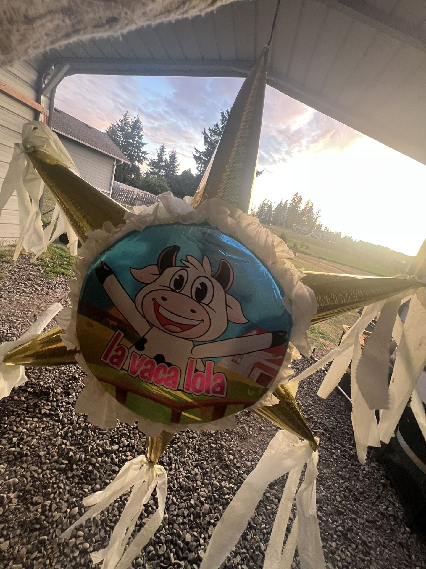 PIÑATAS FOR ANY SPECIAL OCCASION