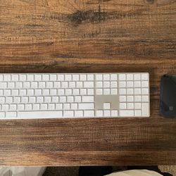 Apple Magic Mouse 2 & Keyboard