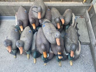 Floating duck& goose decoys, silhouette duck & goose, feeders & sleepers