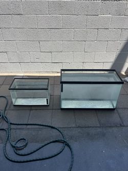 Fish Tank