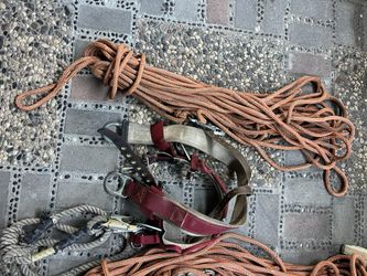 Tree Climber Gear