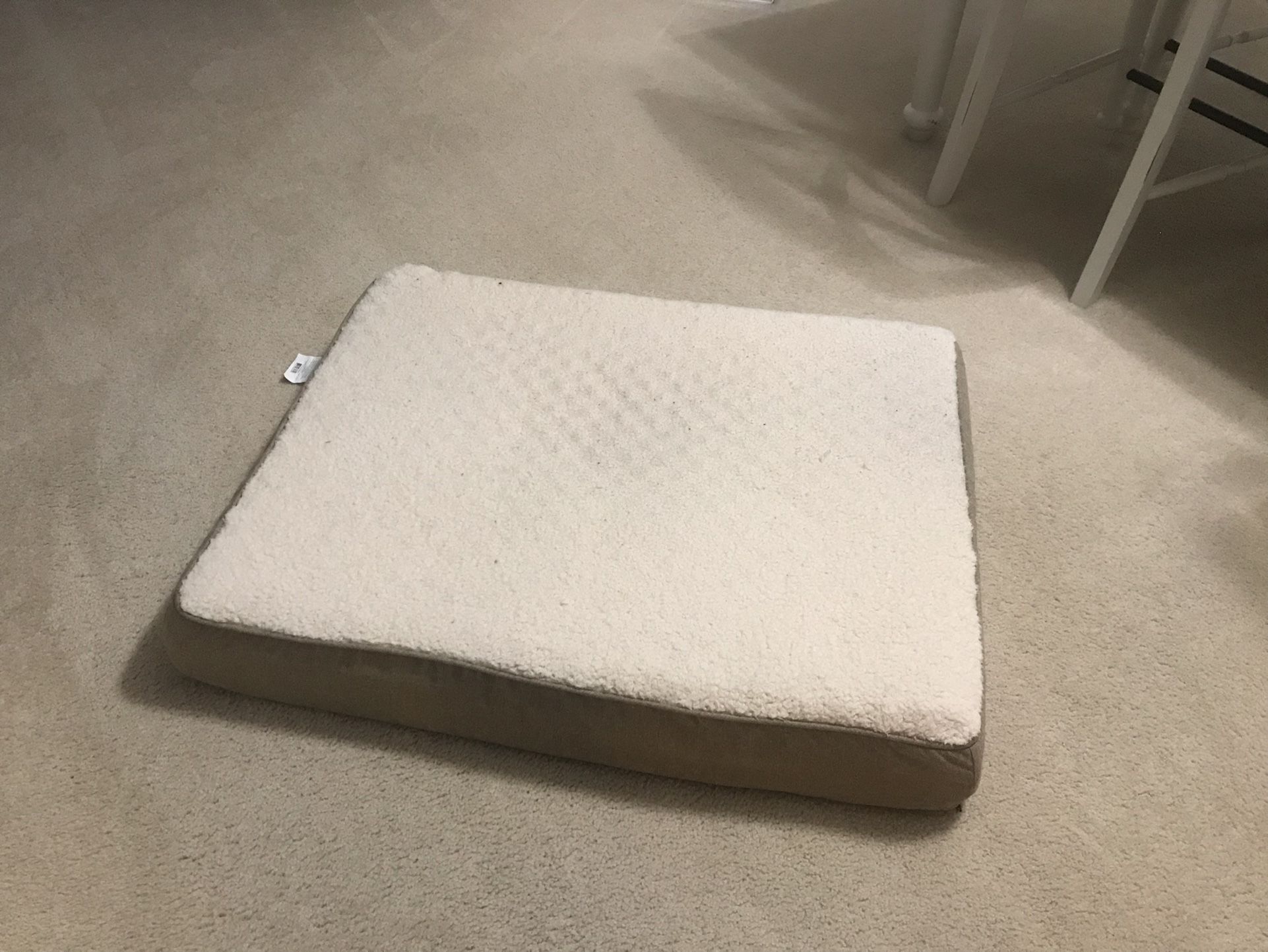 Large Dog Bed My Dog Refuses to Use