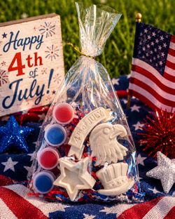 4th of July painting kit