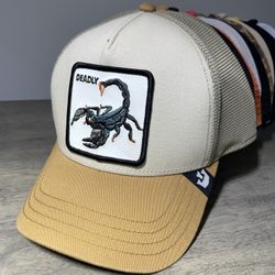 Goorin Bros! One Size Fits All