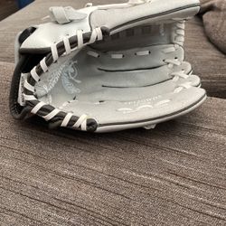 Softball Glove Rawlings
