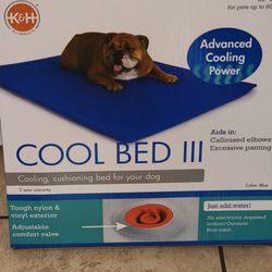 Cool Bed III