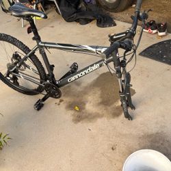 Montaña Muy Buena. !cannondale