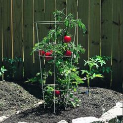 3 Tomato Cages And Tools 35ave/glendale 