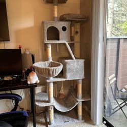 FREE 81” CAT TREE 