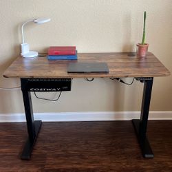 Electric Standing Desk – 48” Adjustable w/ USB & Cable Management
