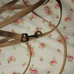 Small Dog/Cat Leash - Tan