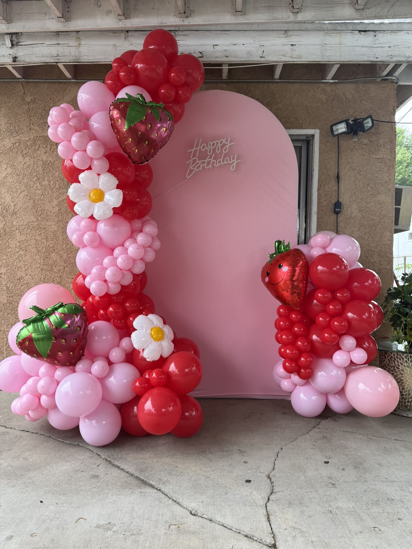 Fresita Backdrop