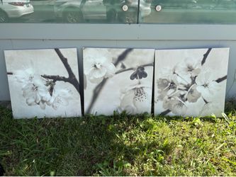 Canvas art