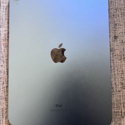Apple iPad – Blue 