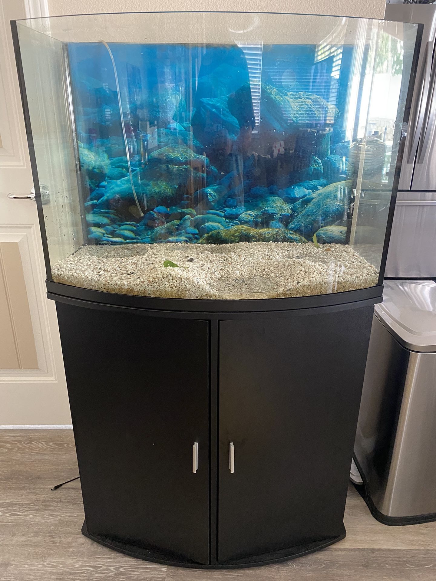 38 Gallon Fish Tank