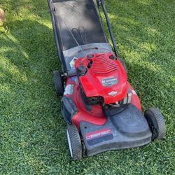 Máquina Para Cortar Pasto