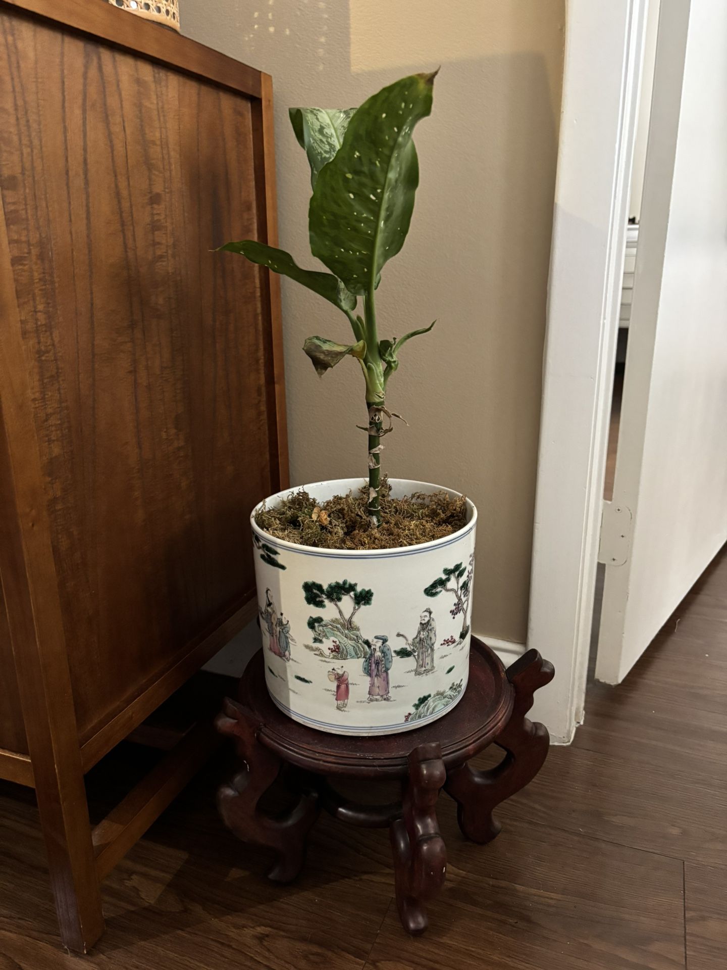 Chinese Plant Pot With Wooden Bottom Holder