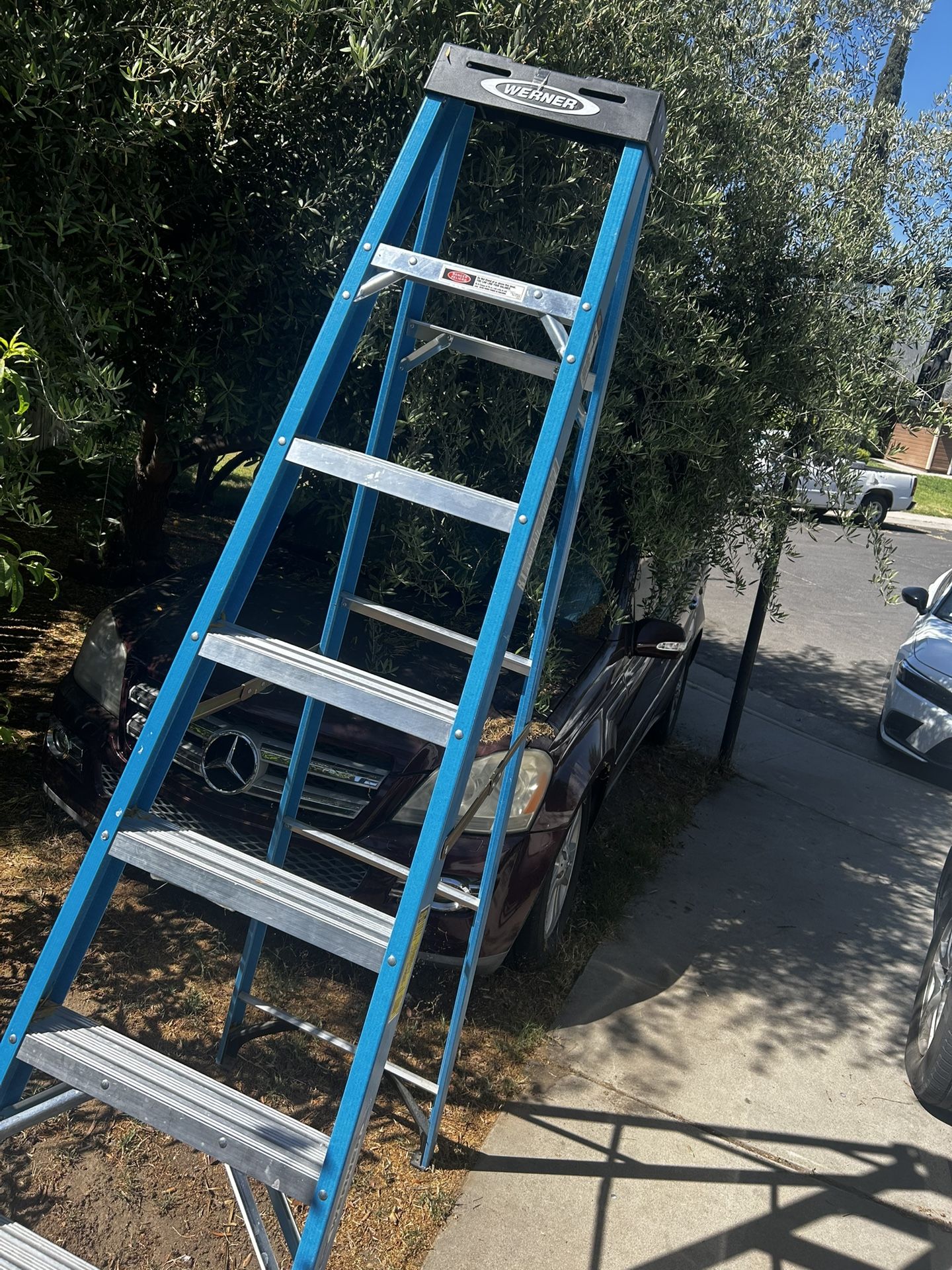 Ladder