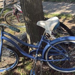 Cranbrook Blue Bicycle