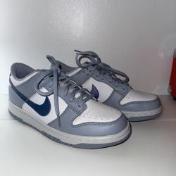 Nike Dunk Low Next Nature (GS) 