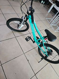 Kids Bicycle 20in
