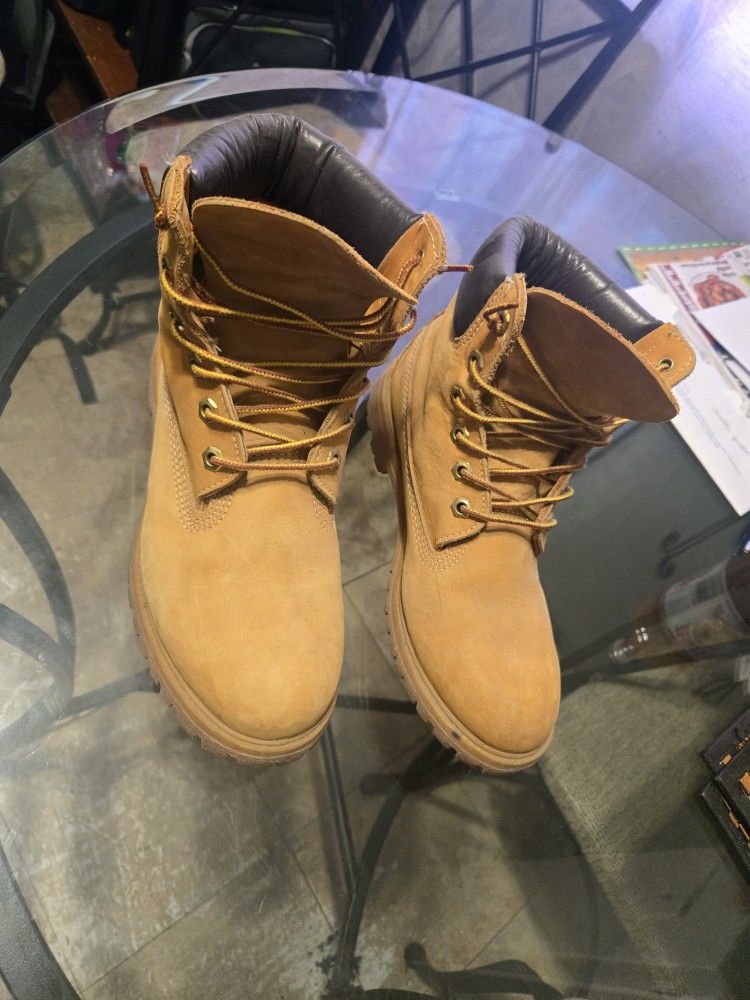 Timberland#8