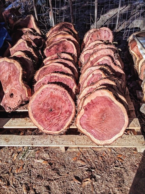 Cedar Wood Slabs