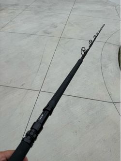 Fishing rod fishing pole