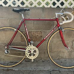 Pinarello Treviso Italian Road Bicycle 56cm Campagnolo Components