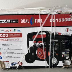DuroStar DS13000EH  / Dual fuel Portable Generator 