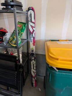 Back country skis
