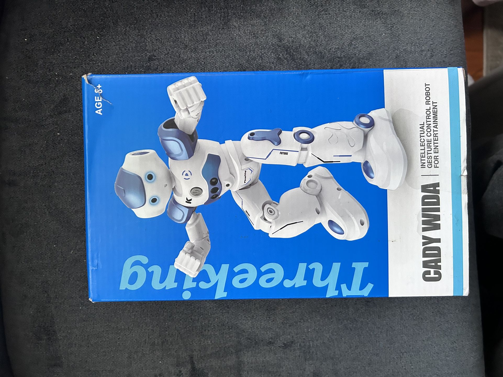 Cady Wida Intelligent Gesture Control Robot Toy