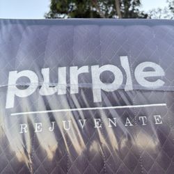 Queen Purple Rejuvenated 