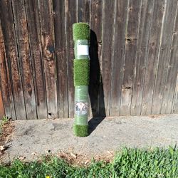 Easy Green Grass