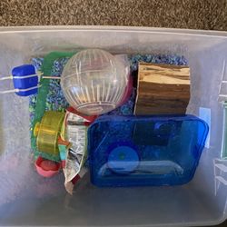 Hamster Stuff