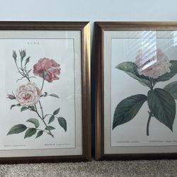 Set Of French Parisian Botanical Prints