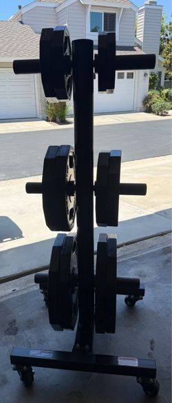 Iron Grip (Olympic Weights) + Stand