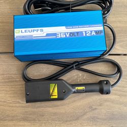 Leupfs 36V 12A battery charger