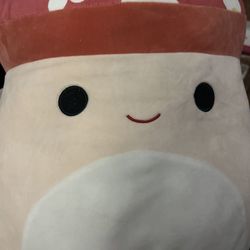 Squishmallow 