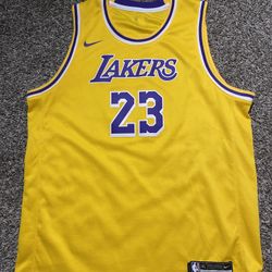 LeBron James Jersey